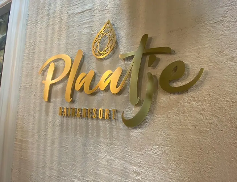 plaatje ハルトの掲載