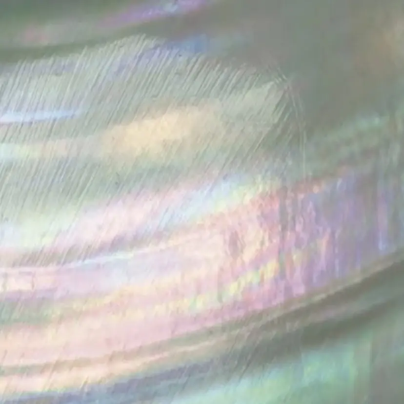 MARU NAIL meiの掲載