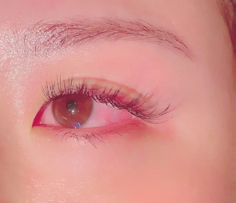 y'sbeauty sariの掲載