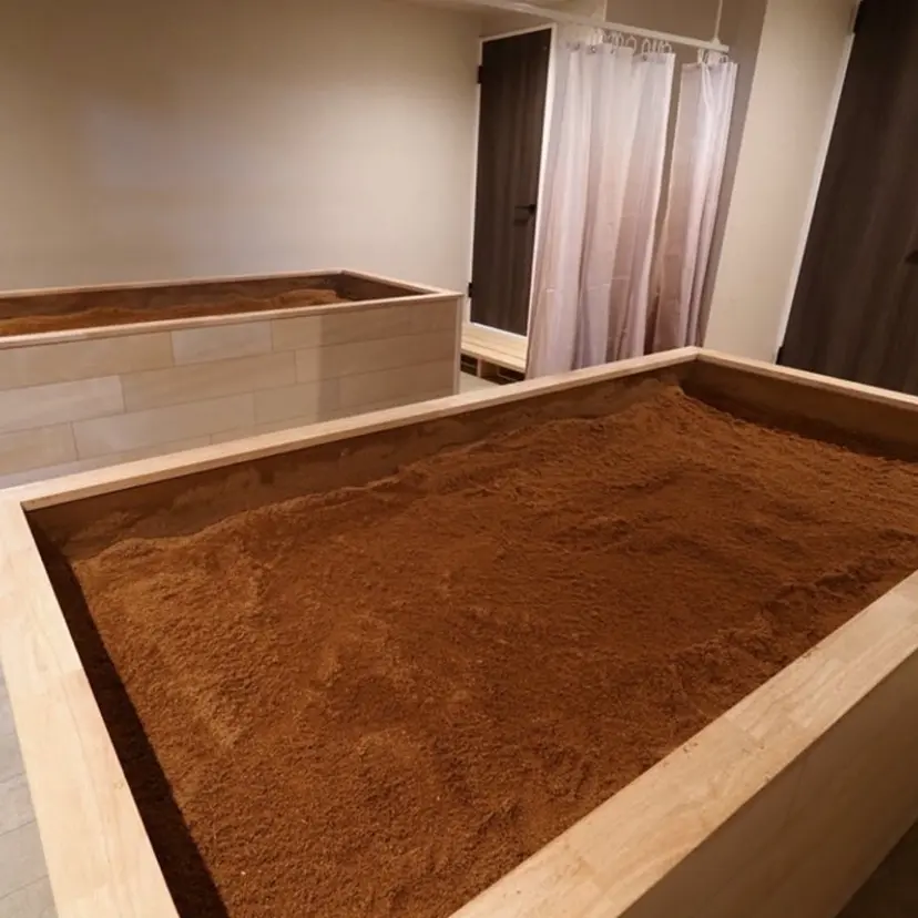 市川 かよこの掲載