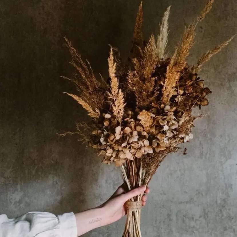 ヤノ ナオミの掲載