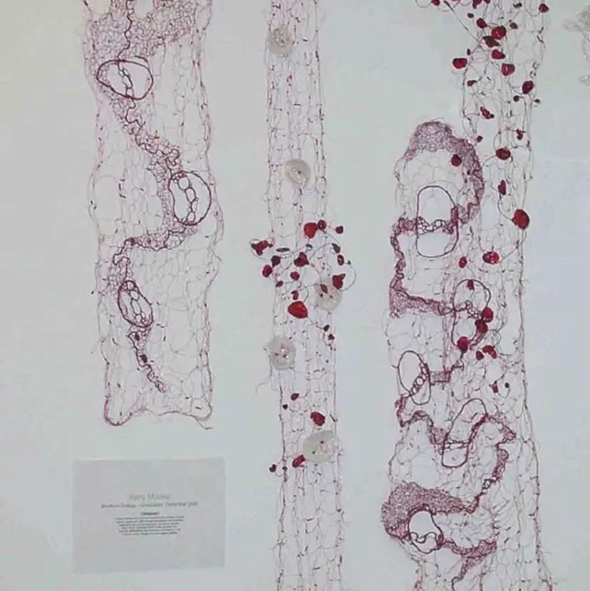 shiba tomomiの掲載