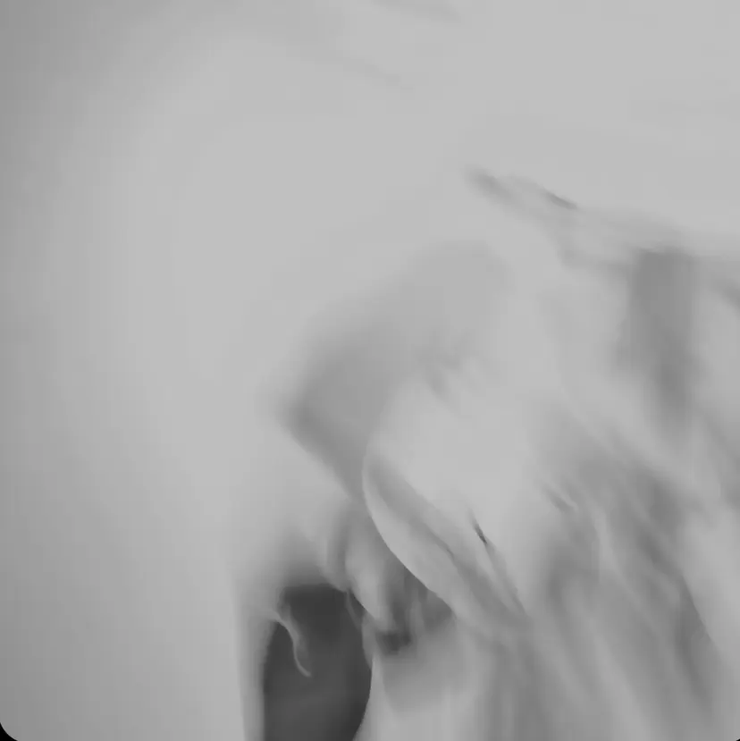 柏木 陽彩の掲載