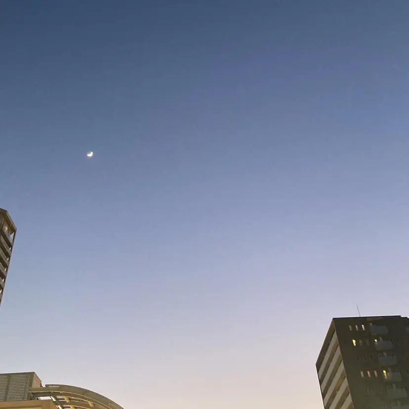 🌷 おとはの掲載