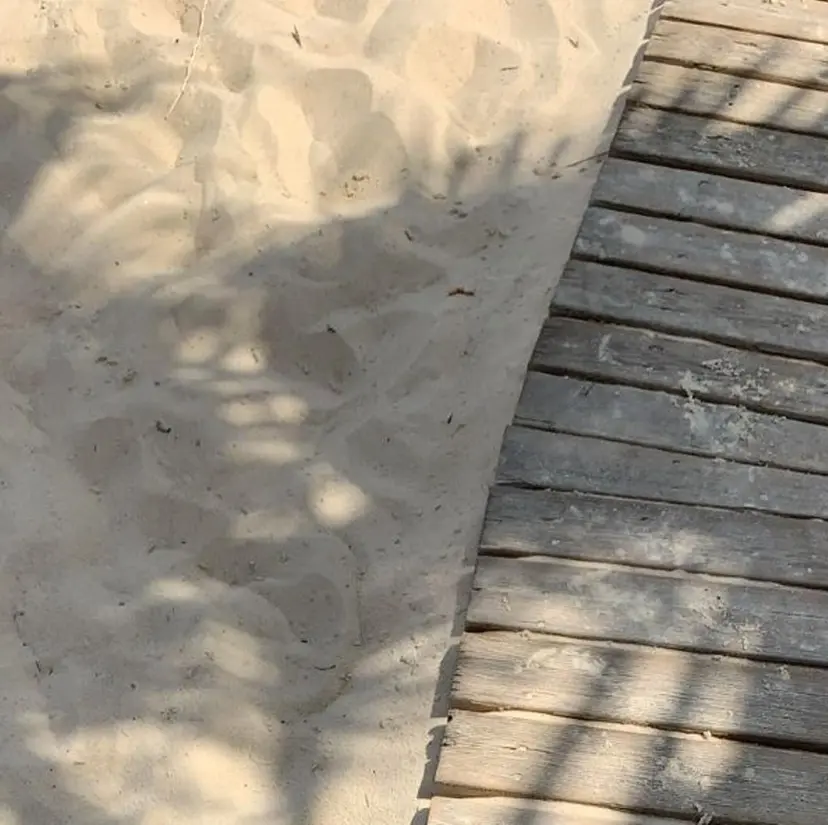 Stella nailの掲載