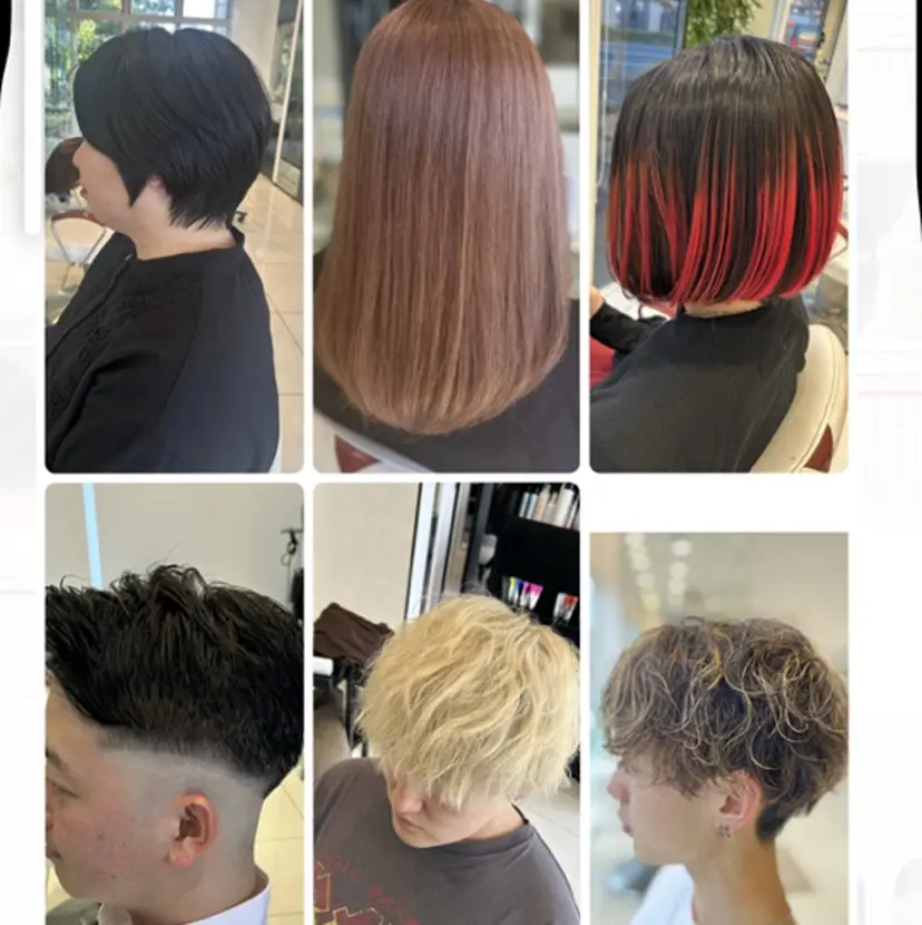 鈴木 颯介の掲載