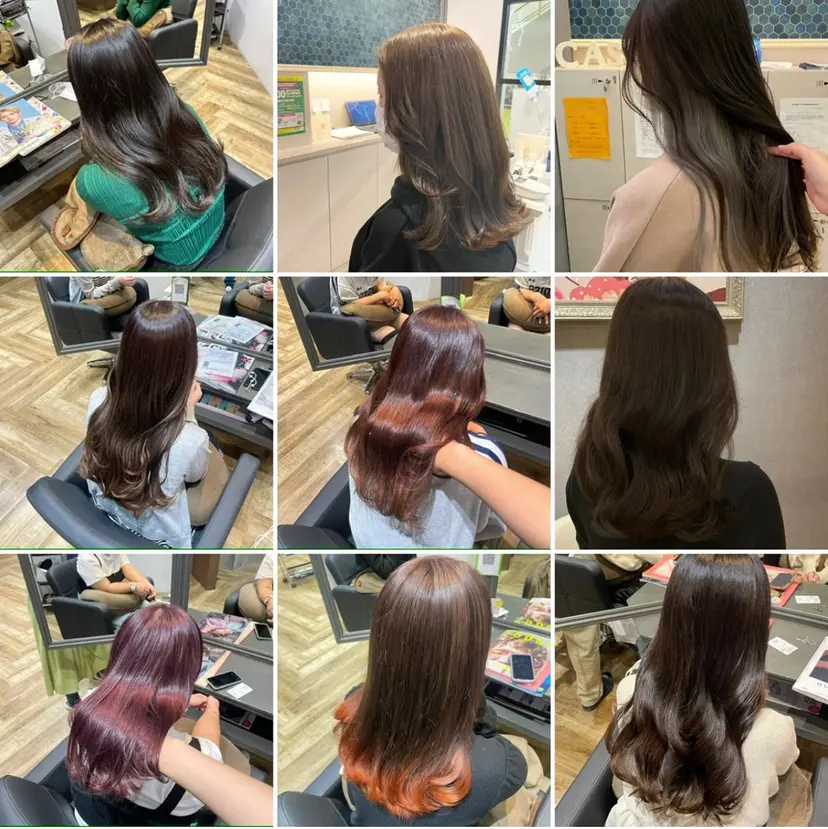 高木 彩愛の掲載