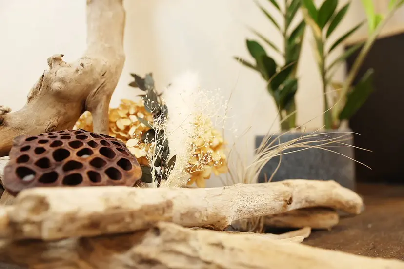 T-SALON (BODYCARE)の掲載