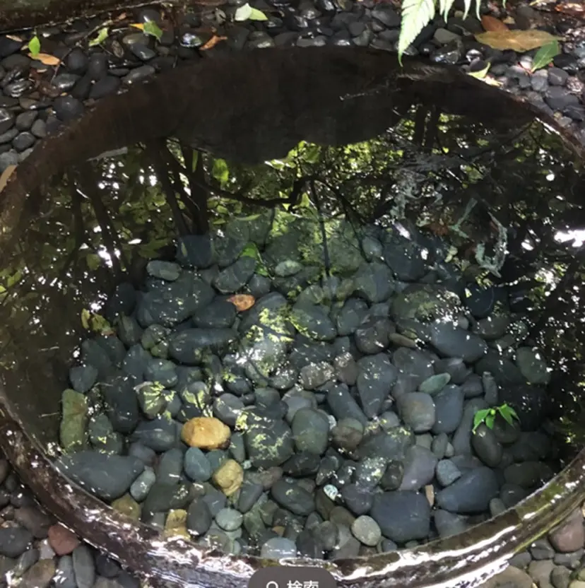 松尾 陵平の掲載