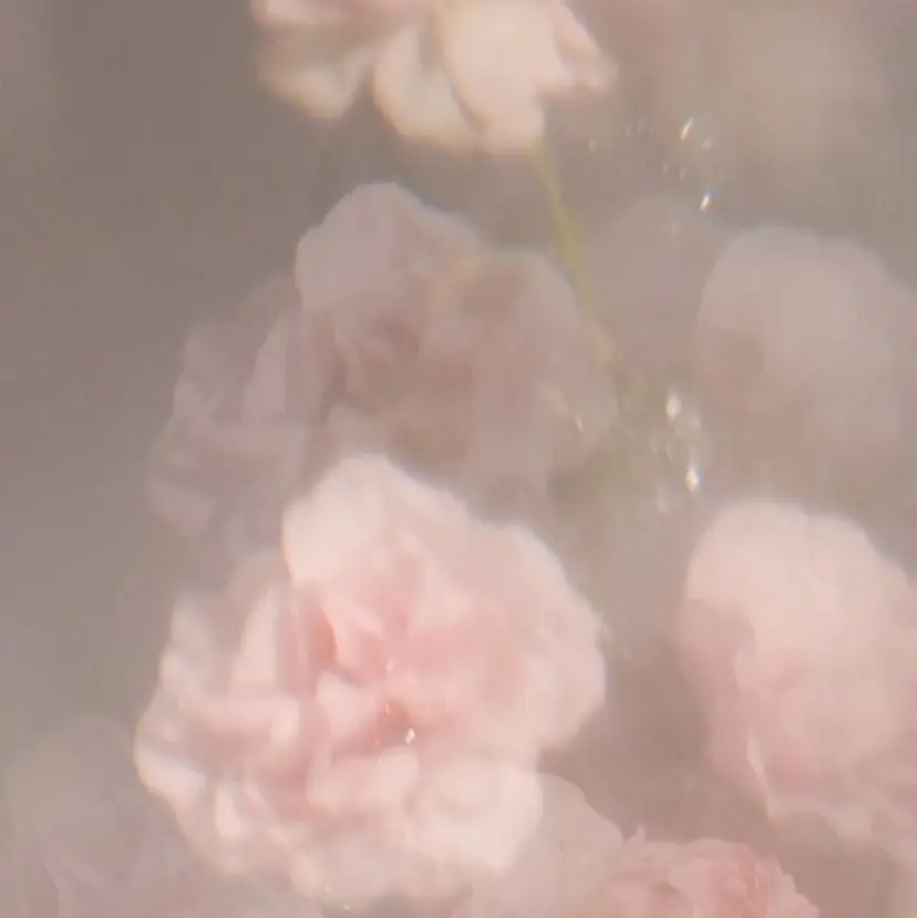 Bloom 莉子の掲載