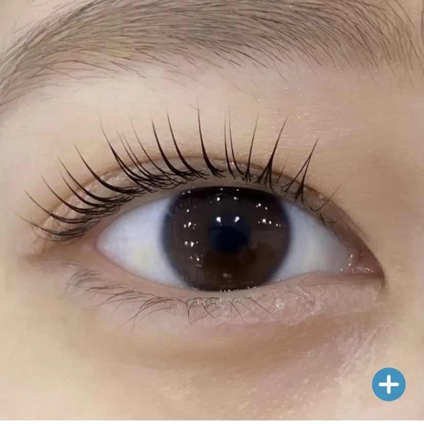 une  fleur HISAKIの掲載