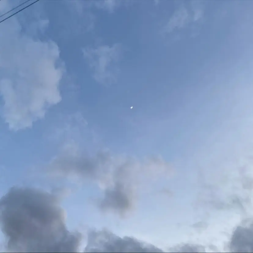 長澤 しずくの掲載