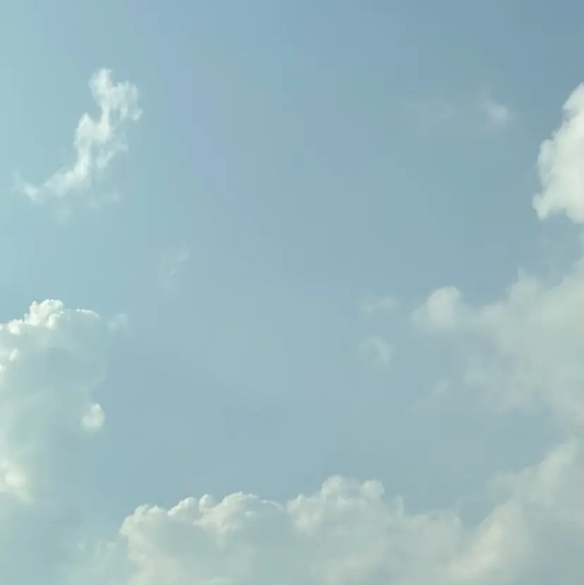 井上 夏乃葉の掲載