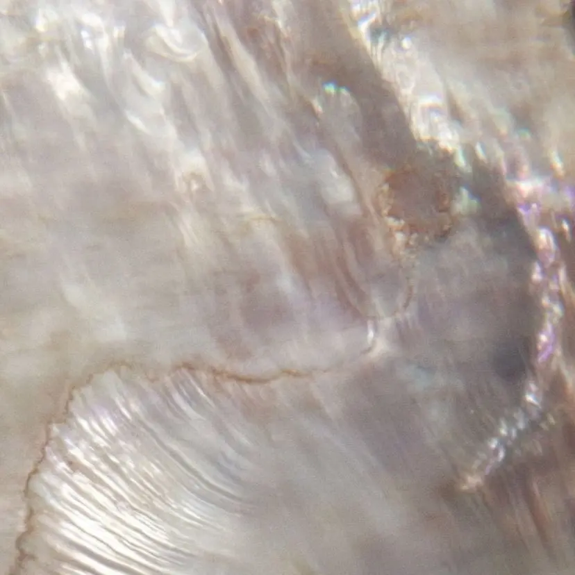 レイヤー/ハッシュカ ット/顔周り/フウカの掲載