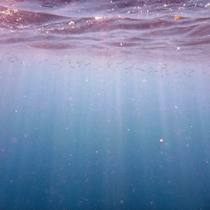 NUMAJIRI CHIHIRO🦁の掲載