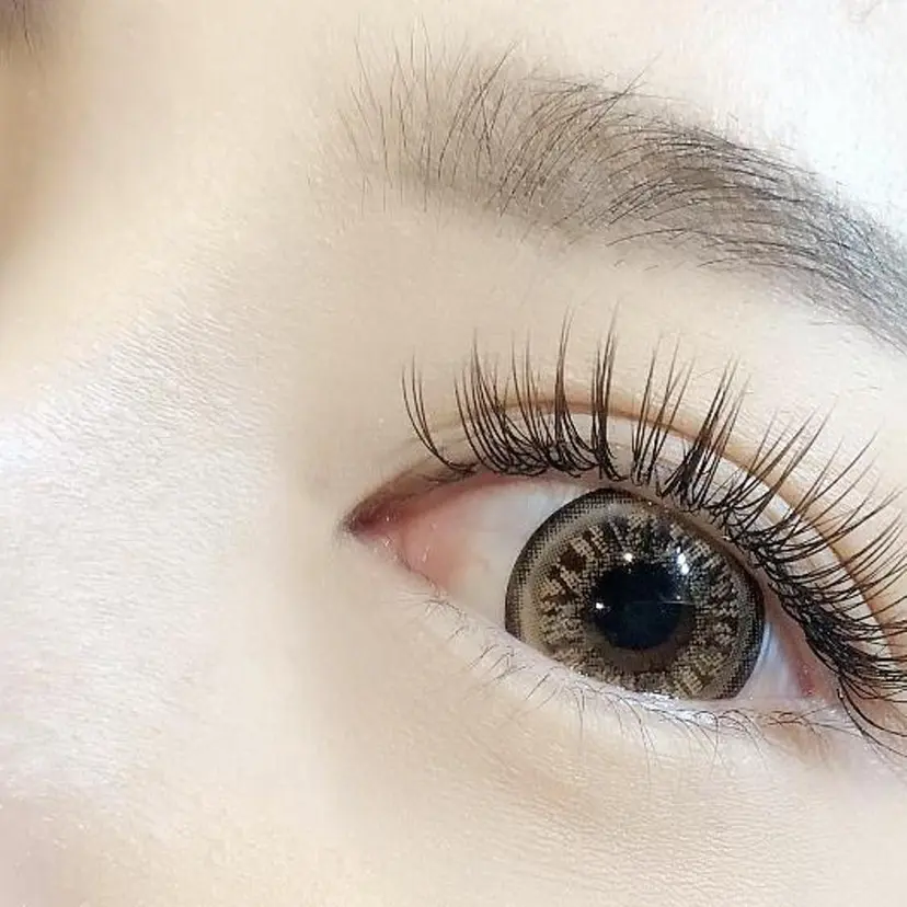 カタギリ　ユイ （アイリスト)の掲載