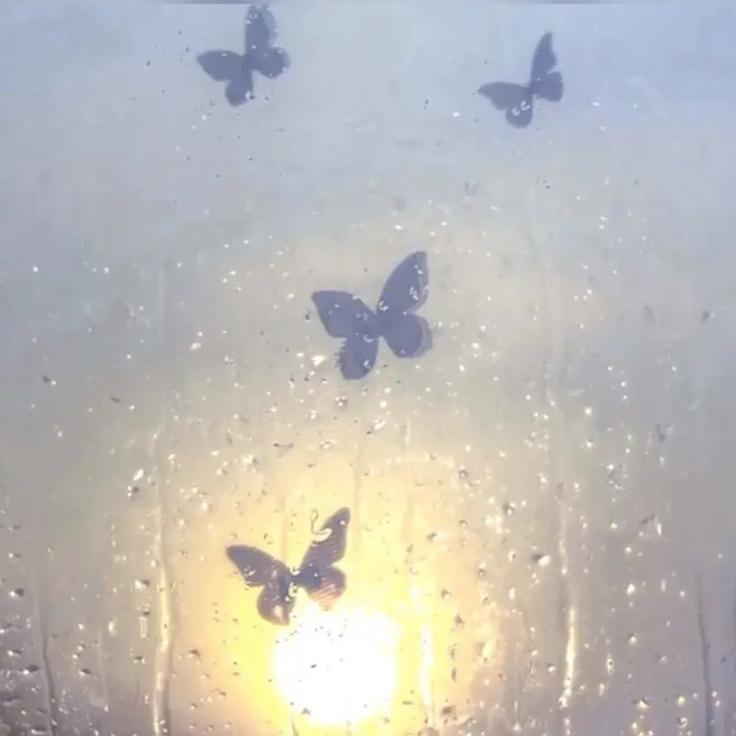 🦋束感/LEDエク Hibiki🦋の掲載