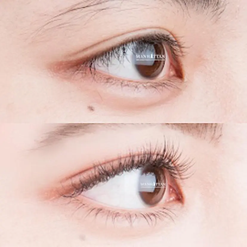 イ シェンの掲載