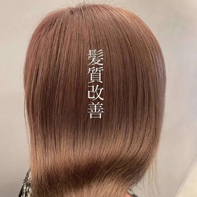 金気 真央の掲載