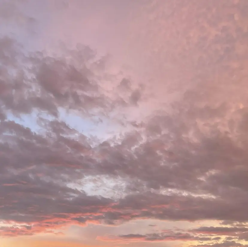 荻野 未来の掲載