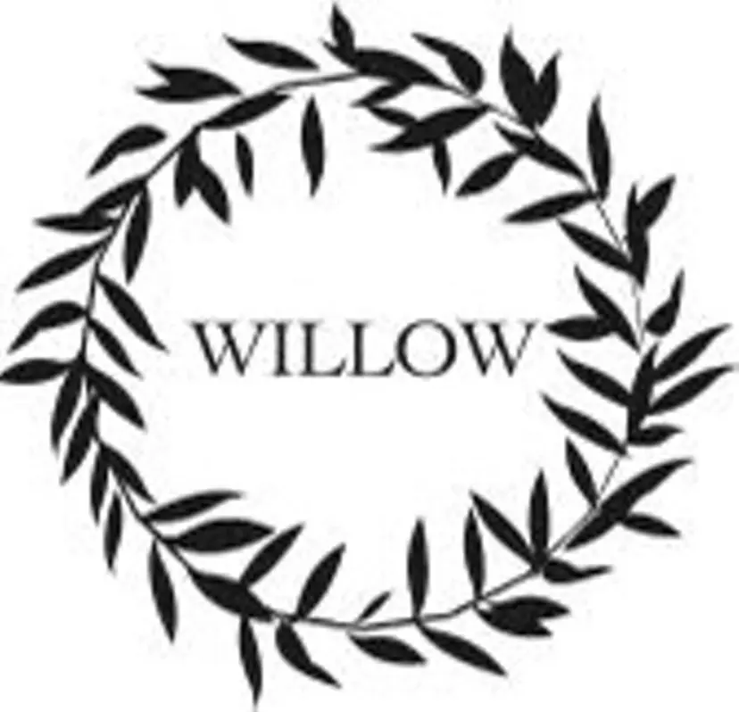 WILLOW京橋 小玉泰基の掲載
