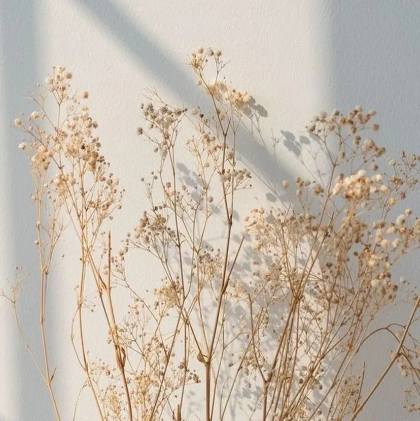 マツエク専門店 Laviy博多の掲載