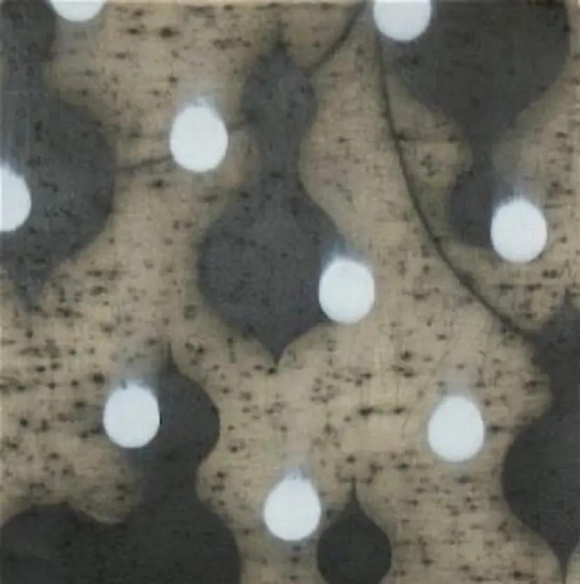 🐈‍⬛ 桐弓🐾⭐︎の掲載