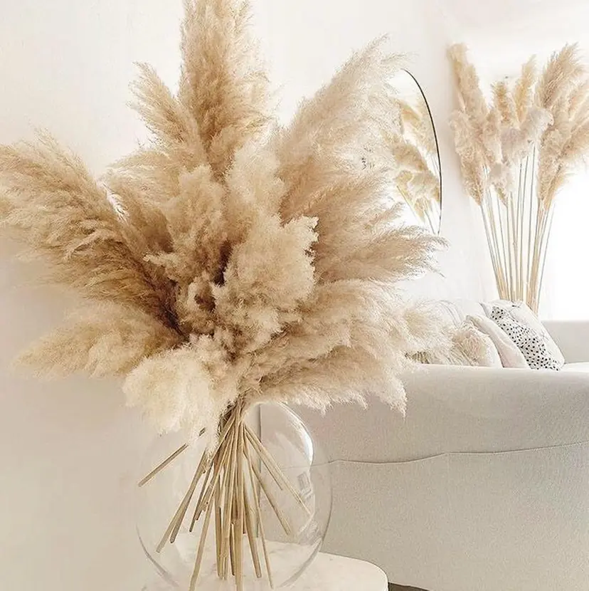 UNE.【ユヌ】 Jr.NANAの掲載