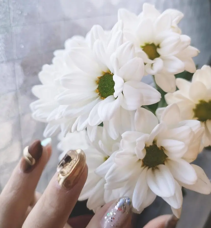 nail salon Soireeの掲載