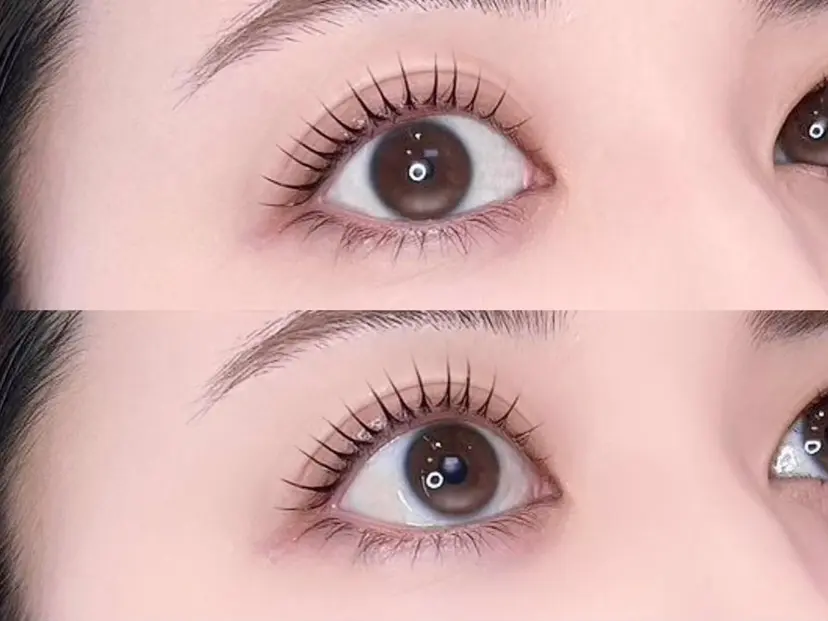 新井 美咲の掲載