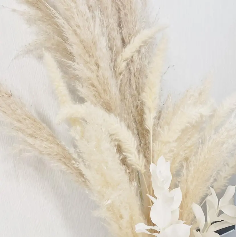 nagase yumiの掲載