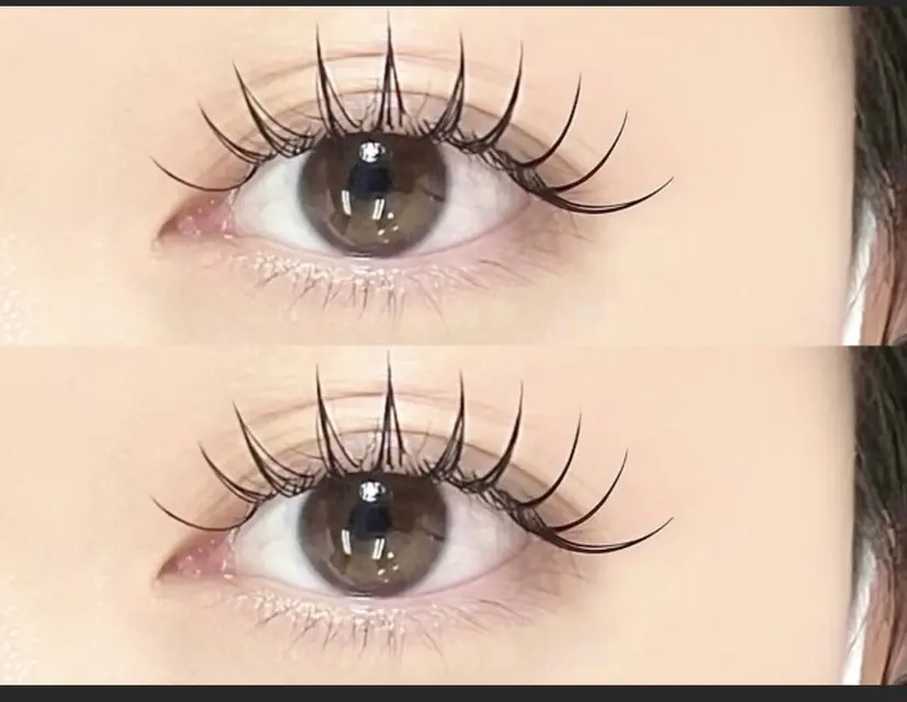 alicetokyo hikosoの掲載