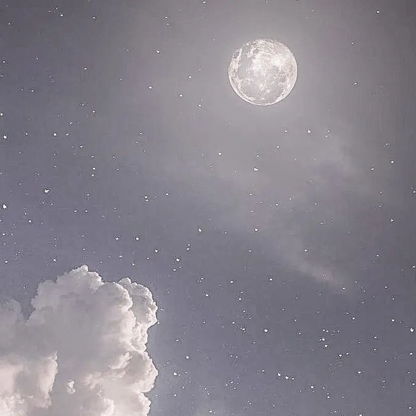 Diasalon 諸泉の掲載