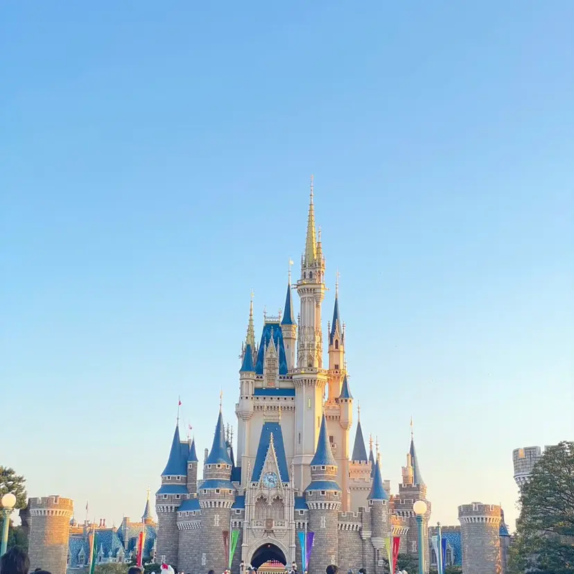 山口 愛紗花の掲載