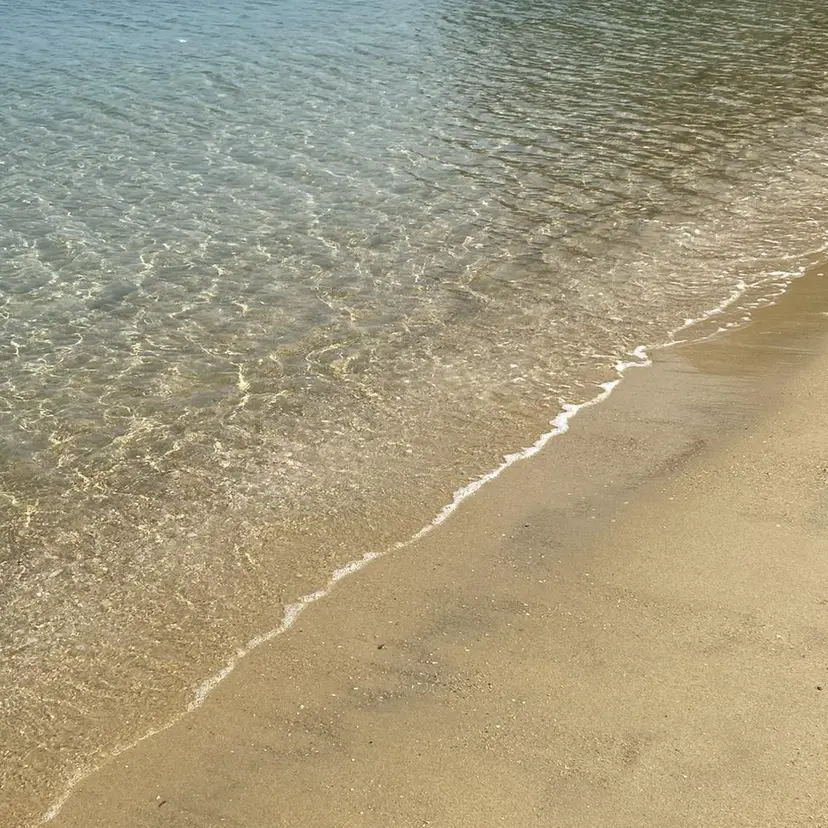 TRANCEMODE 野平の掲載