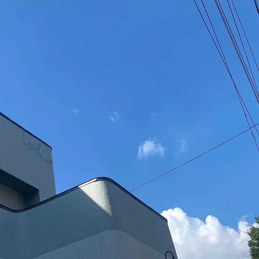 soi 小島陽香の掲載