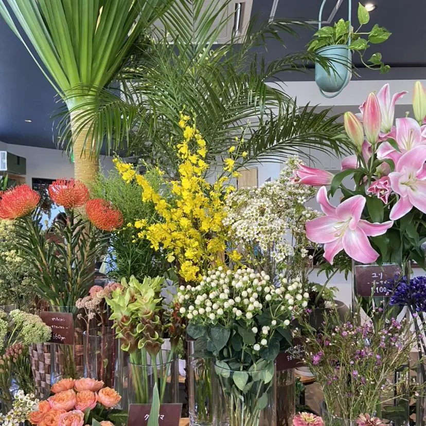 RITZ 北千住の掲載