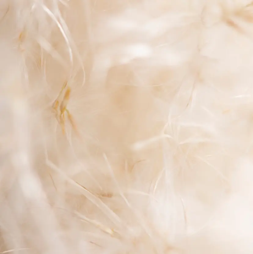 nail y.roomの掲載