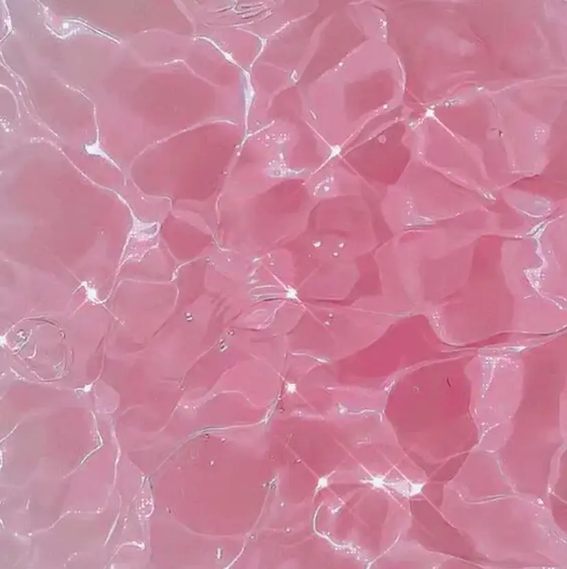 chamomile kokonaの掲載