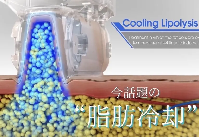 南国‐蒼あお‐ ビューティーサロンの掲載