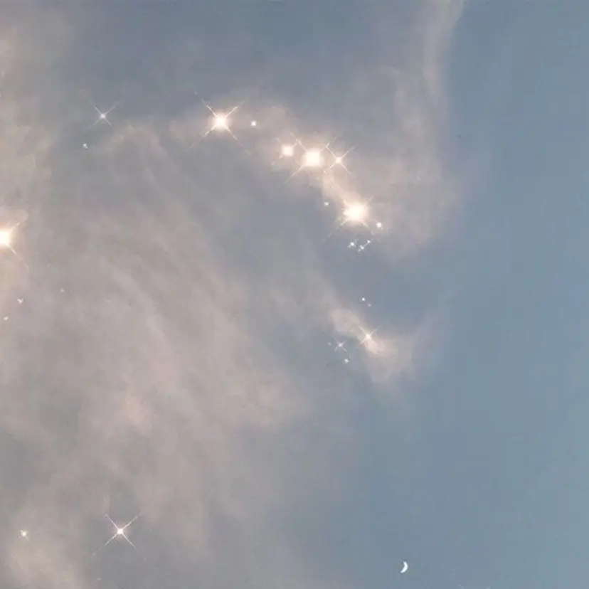 牧 由貴花の掲載