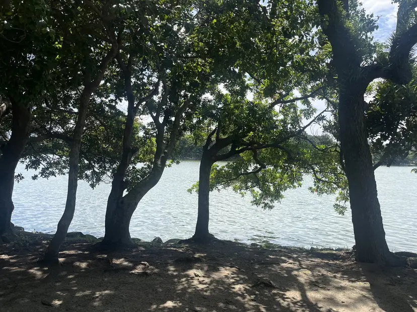 ヨシダ チヒロの掲載