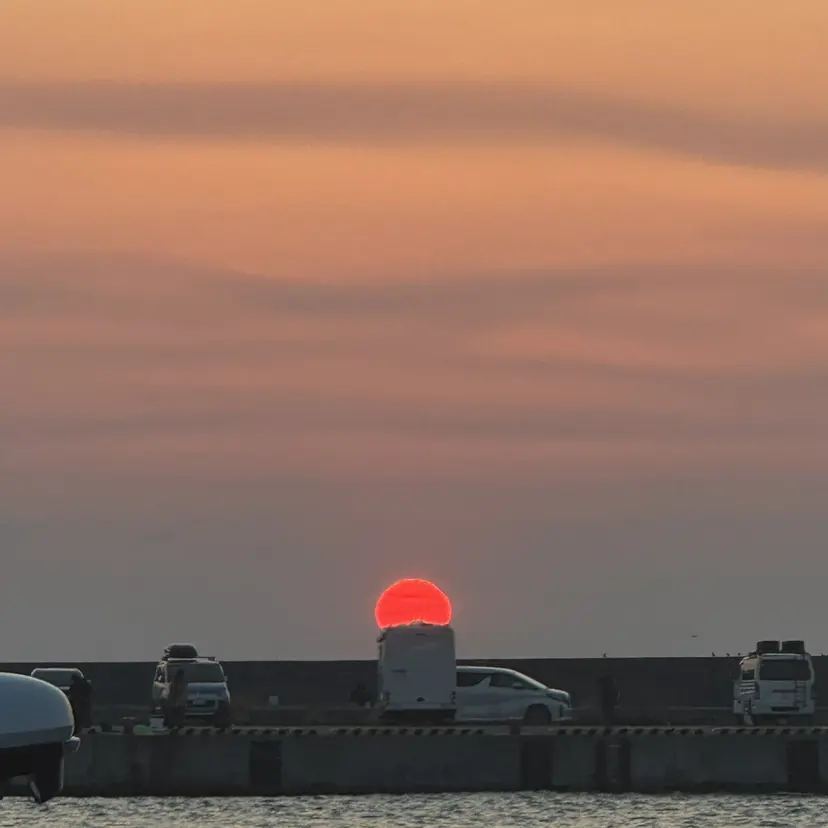 木村 悠季乃の掲載