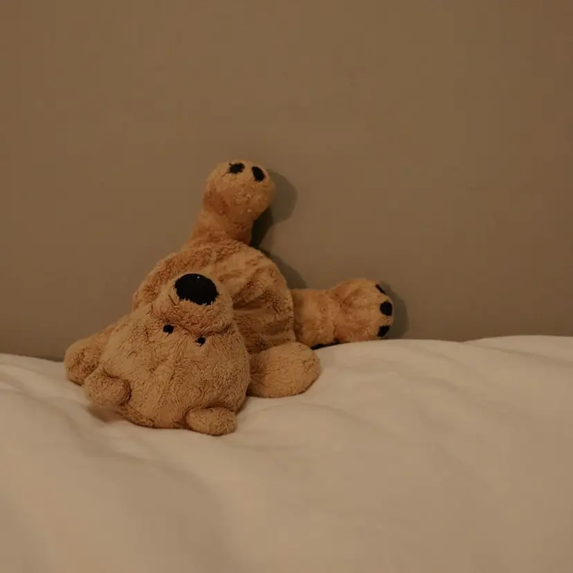 le bois 🌼 せきみらいの掲載