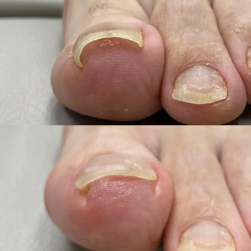 黒田 恵美の掲載