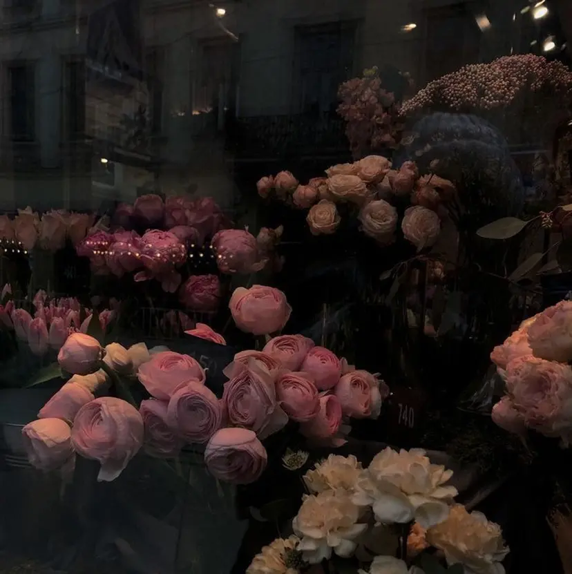 Cheri otohaの掲載