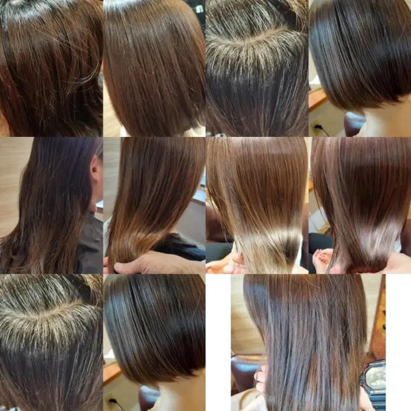 稲田 全将の掲載