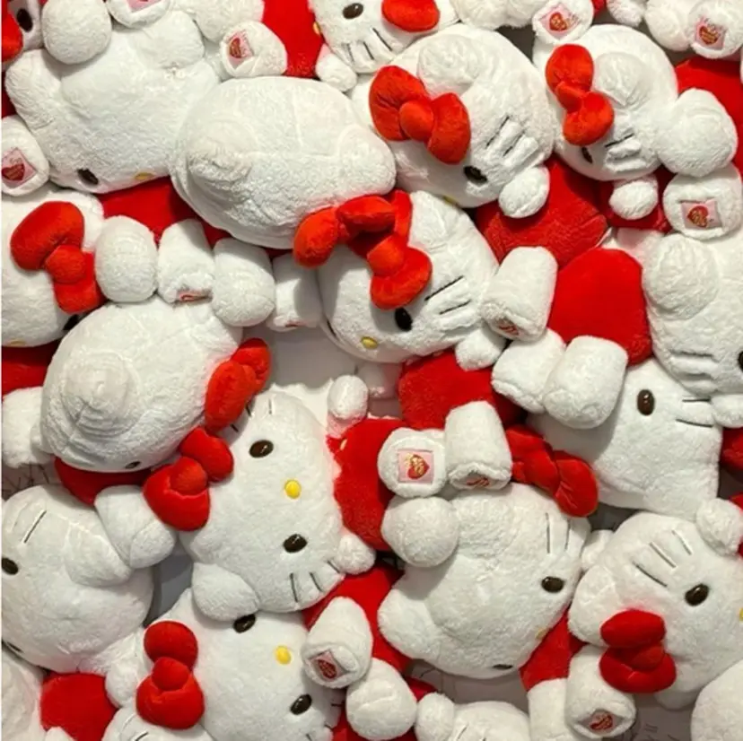 長谷川 楓恋の掲載