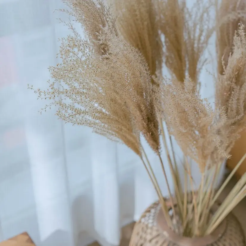 chic.🍋 Kirariの掲載