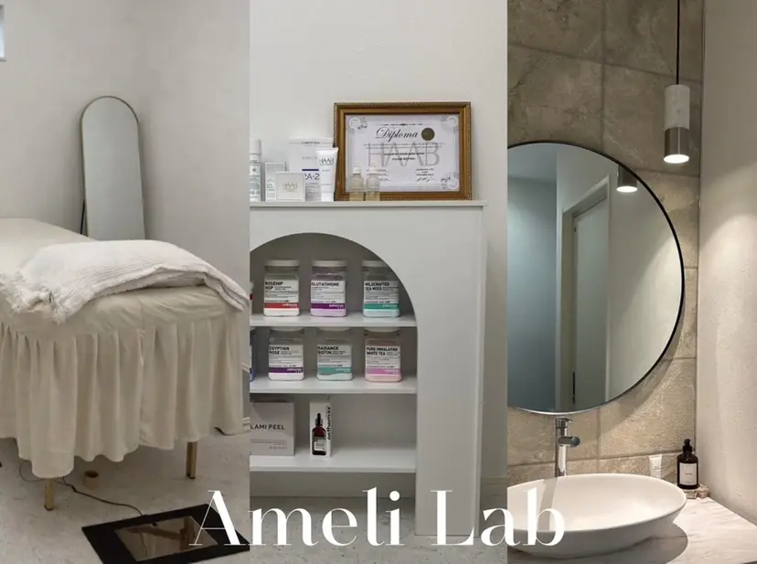 Ameli Lab / ERINAの掲載